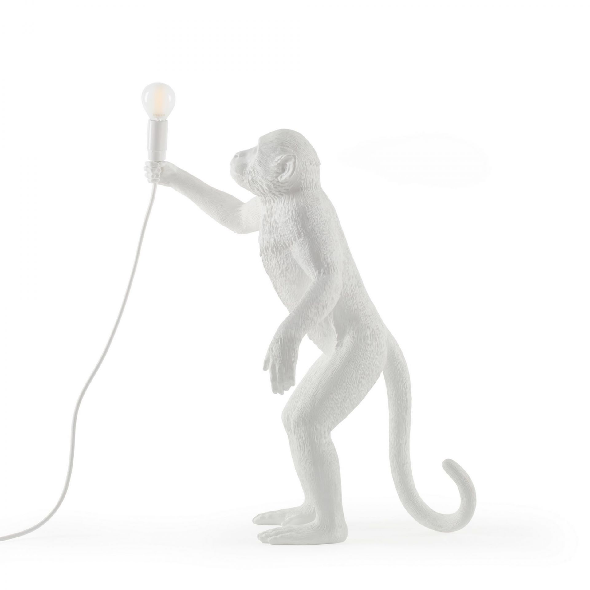 Iconic sales lights monkey